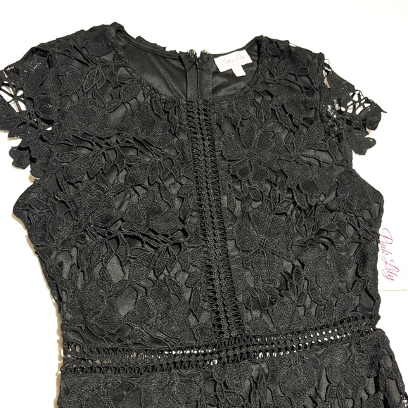 NEW Pink Lily Black Lace Short Sleeve Dress Medium Crochet Whimsigoth Dark Fairy - Picture 7 of 10